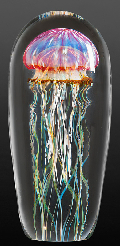Image: Jellyfish