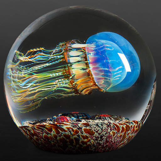 Image: Moon Jellyfish, corals