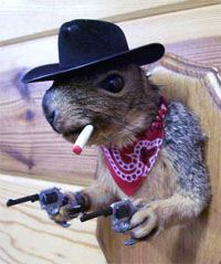 Image: Badly Stuffed Squirrel