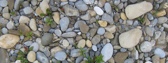 Image: River Cobbles