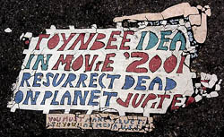 Image: Toynbee Tile